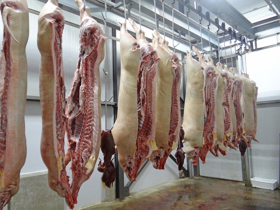 Rosderra Meats 'pleased' to return to full operations following staff walk-out