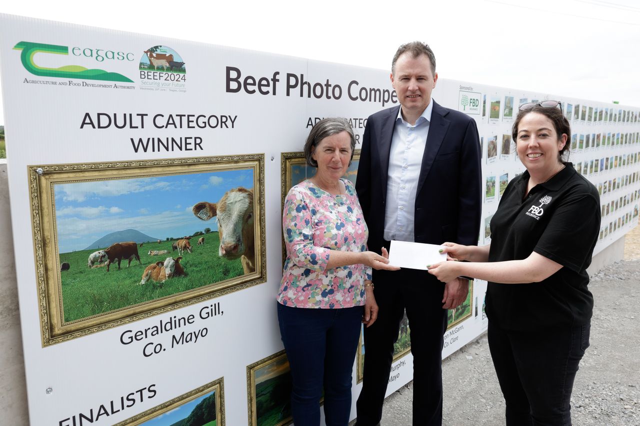 Top prizes announced for beef farming photography