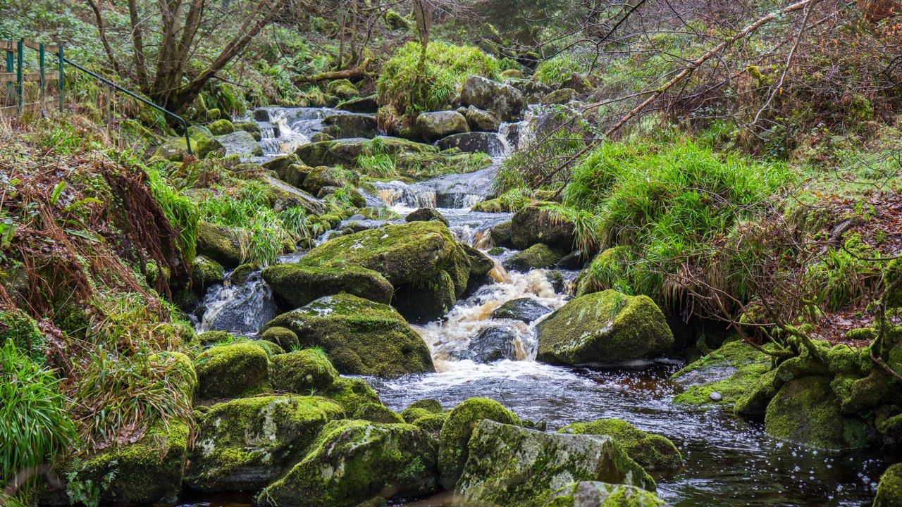 Communities Caring for Water Conference to take place next week