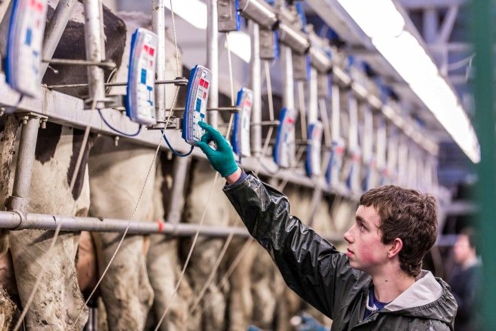 Young farmers optimistic about the future