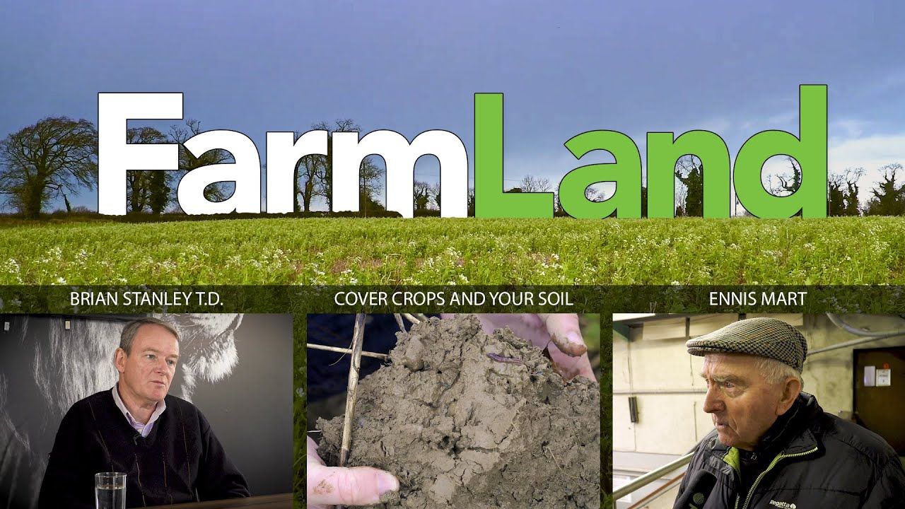 FarmLand 20th February 2020