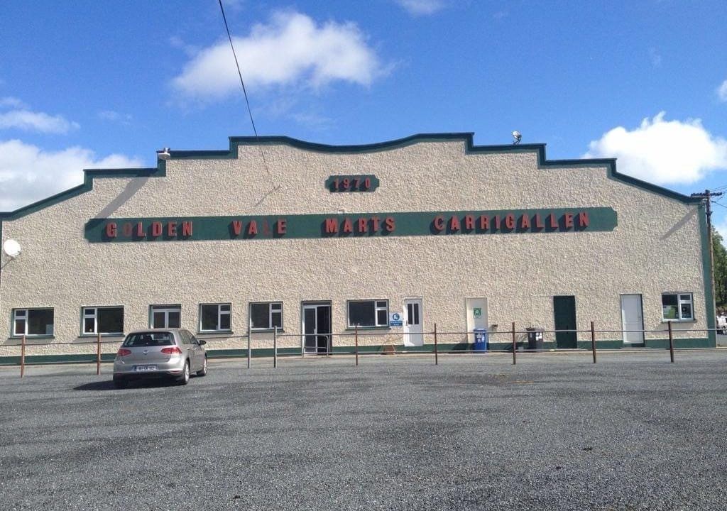 Second mart moves to offer  auction for TB-restricted herds