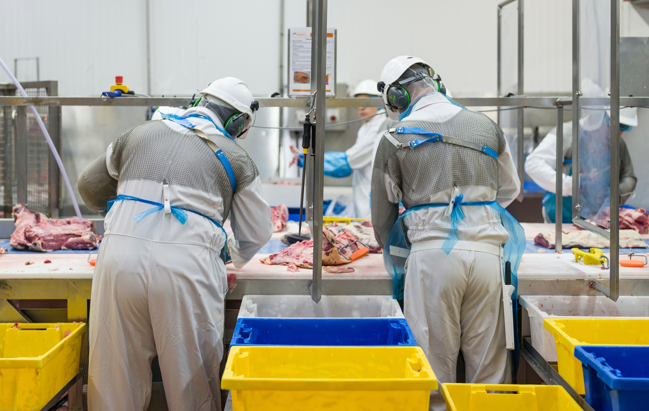 'Further consolidation in the meat-processing sector is likely' - AHDB