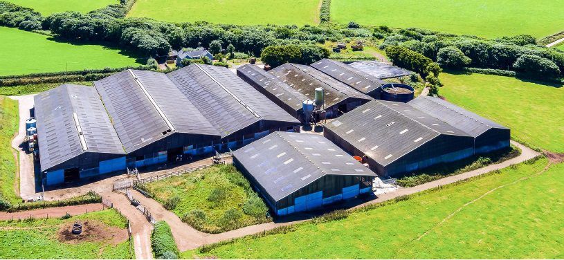 Demand for land in the UK falls sharply in wake of Brexit