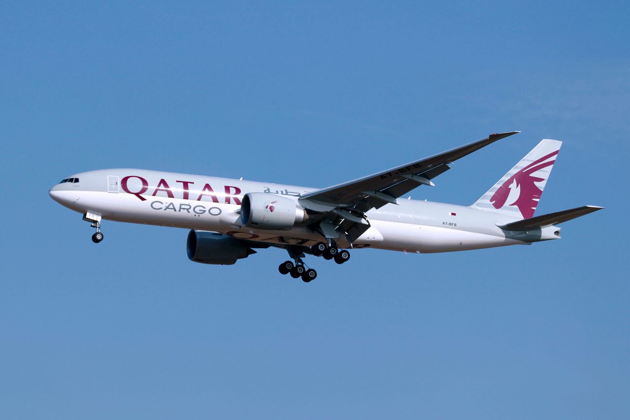 First consignment of 165 dairy cows flown into Qatar