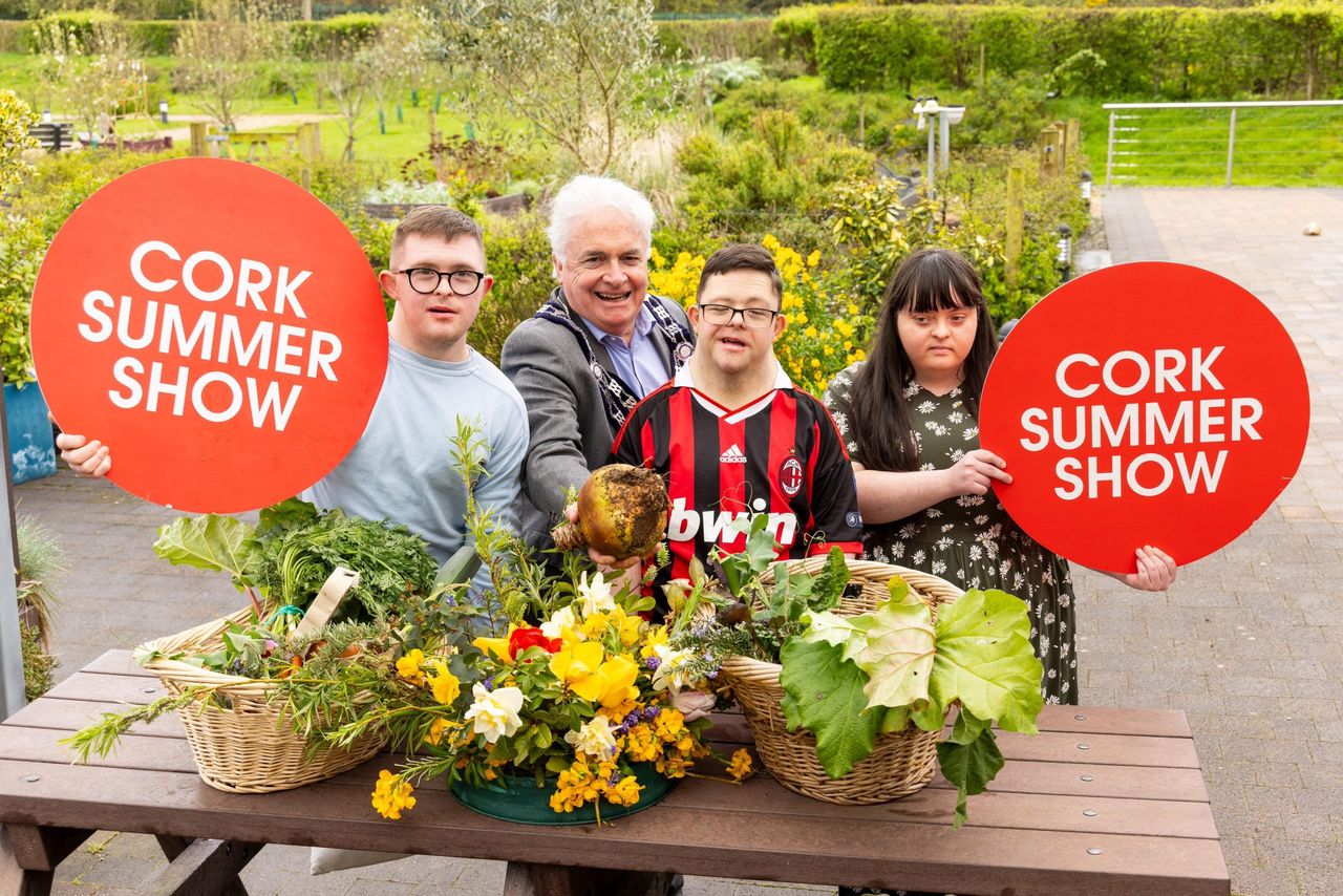 Cork Summer Show 2026 open for competition entries