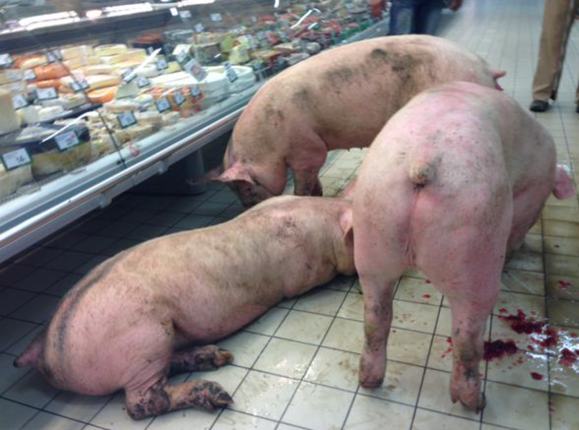 Protesting French farmers highlight Ireland's need for more markets