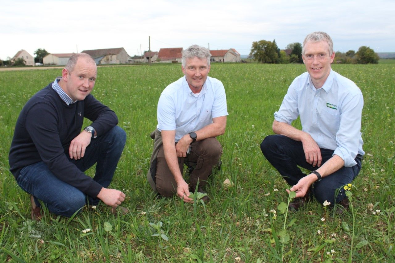French tillage farmers committing to certified organic production