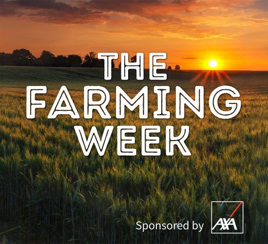 The Farming Week: Fuel supports, Healy-Rae resigns and TB changes take effect