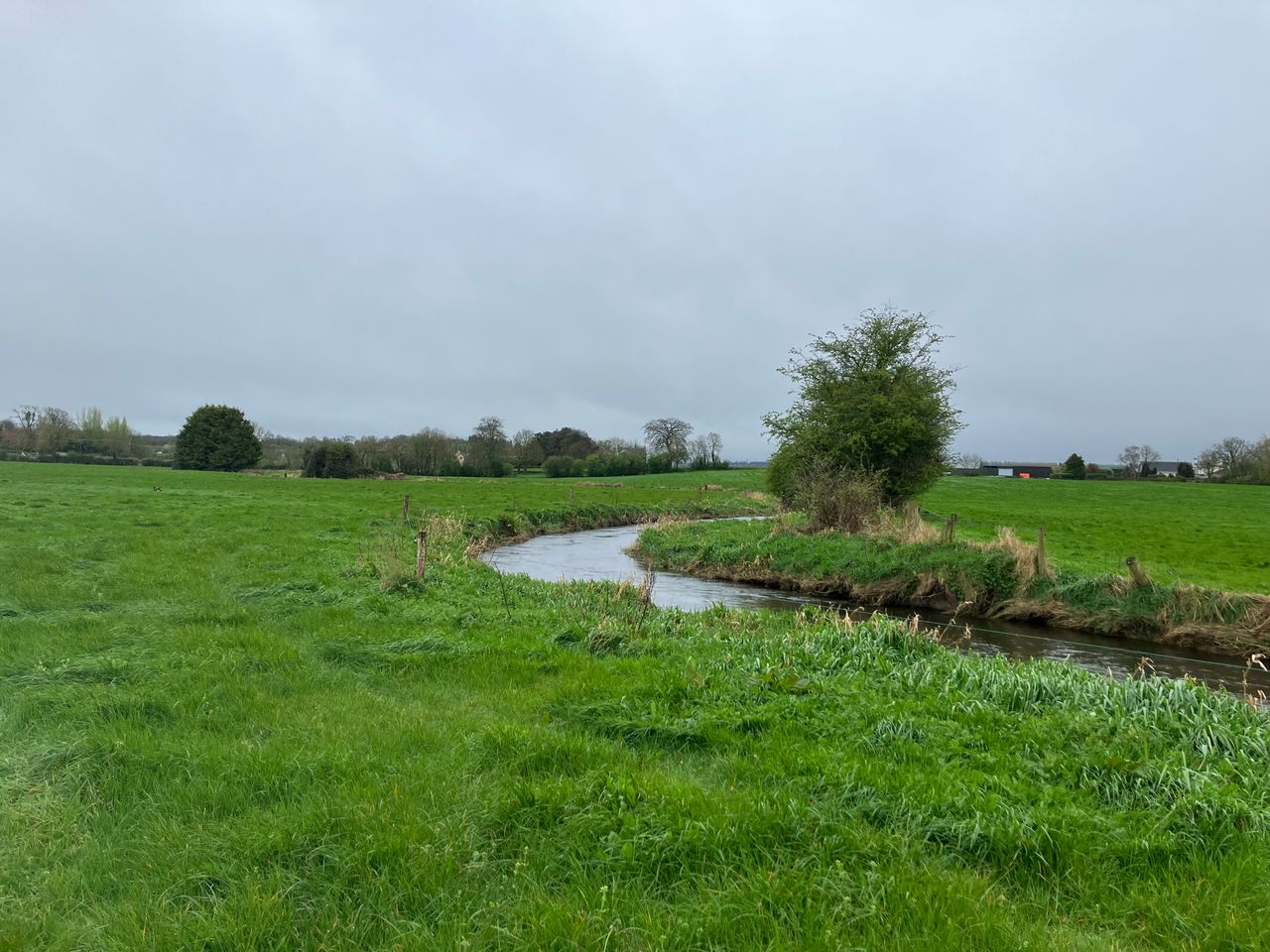 An Taisce urges commissioner to 'wean us off' nitrates derogation