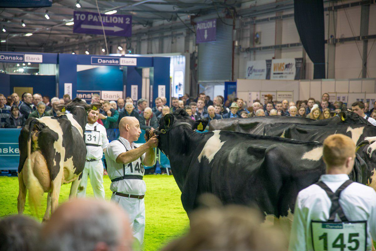 Winter Fair: Full results, pictures and video highlights