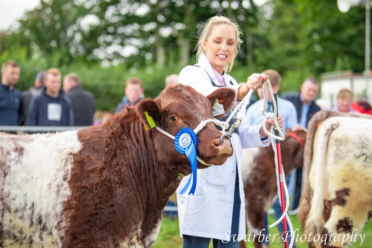 Irish Shorthorn cattle society announces new president