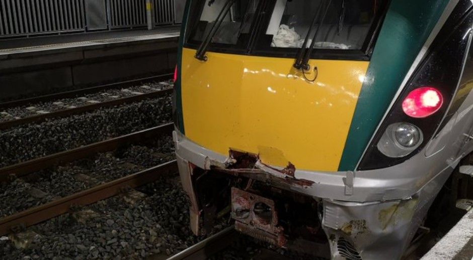 Lengthy delays caused following train collision with cow