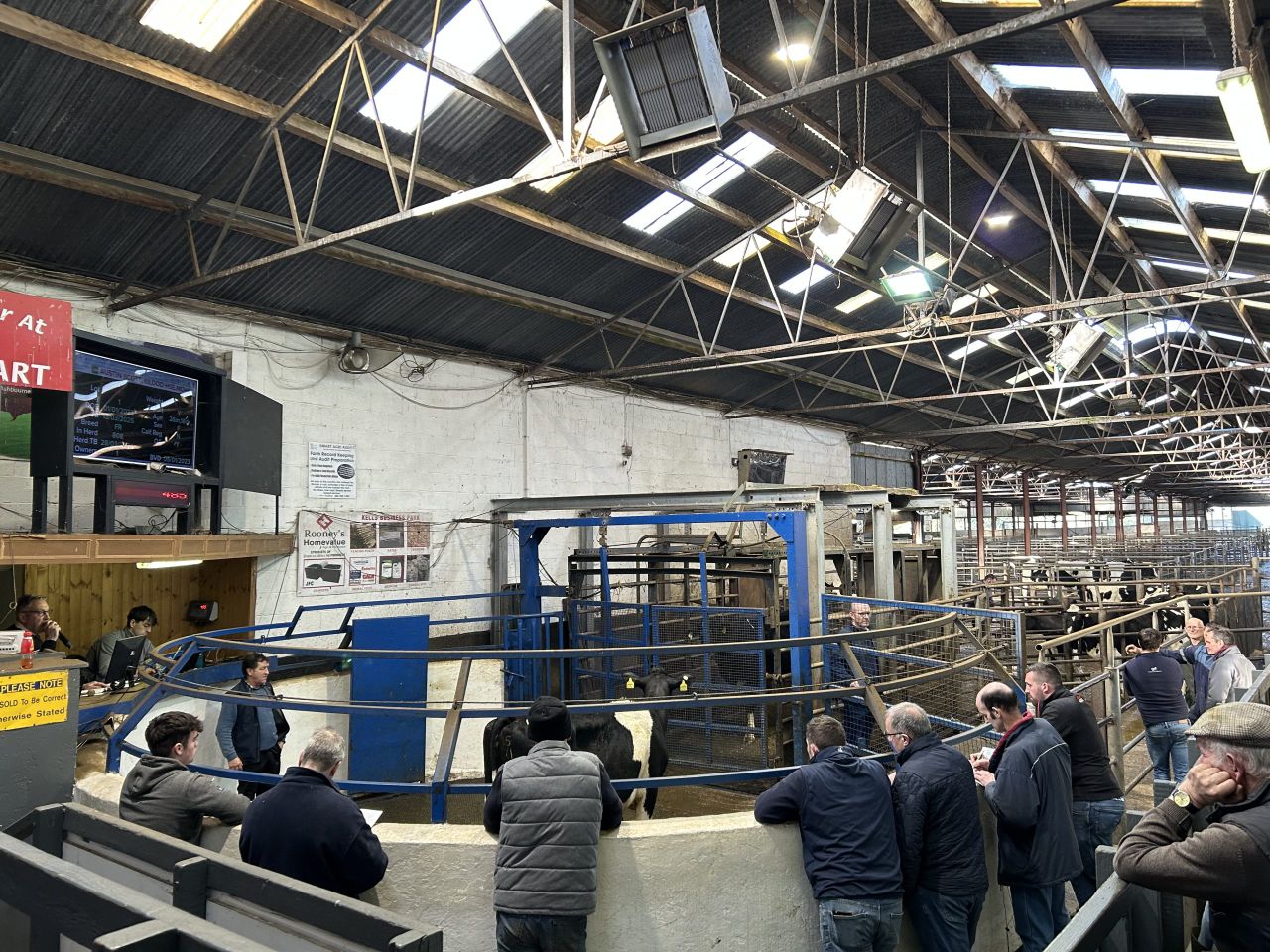 Strong factory prices &amp; steady milk price driving on milking trade