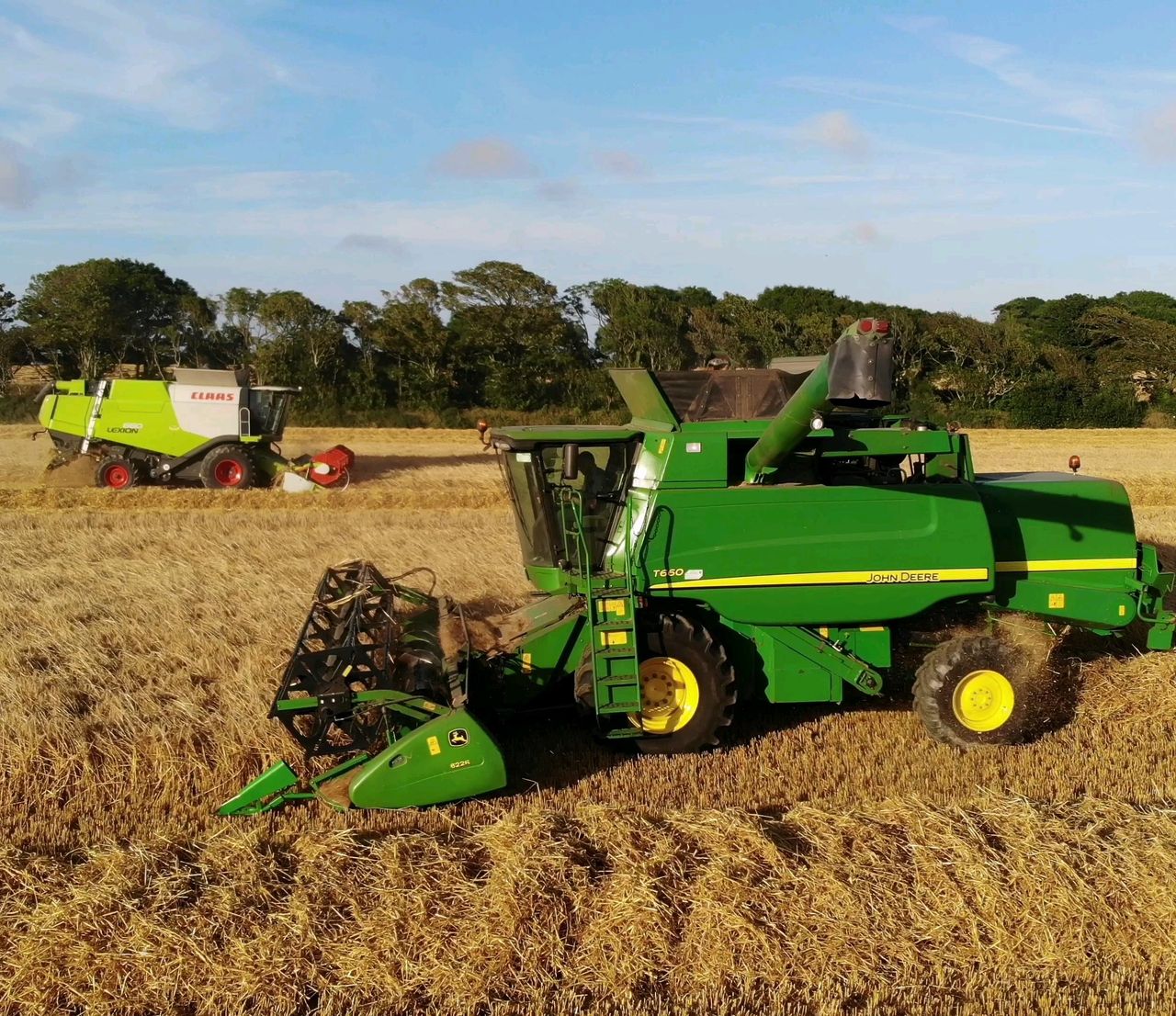 Facts and figures: The Irish tillage sector in 2019