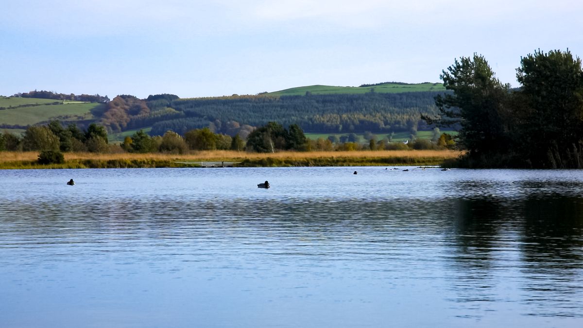 Water 'stress' affecting 30% of EU population - report