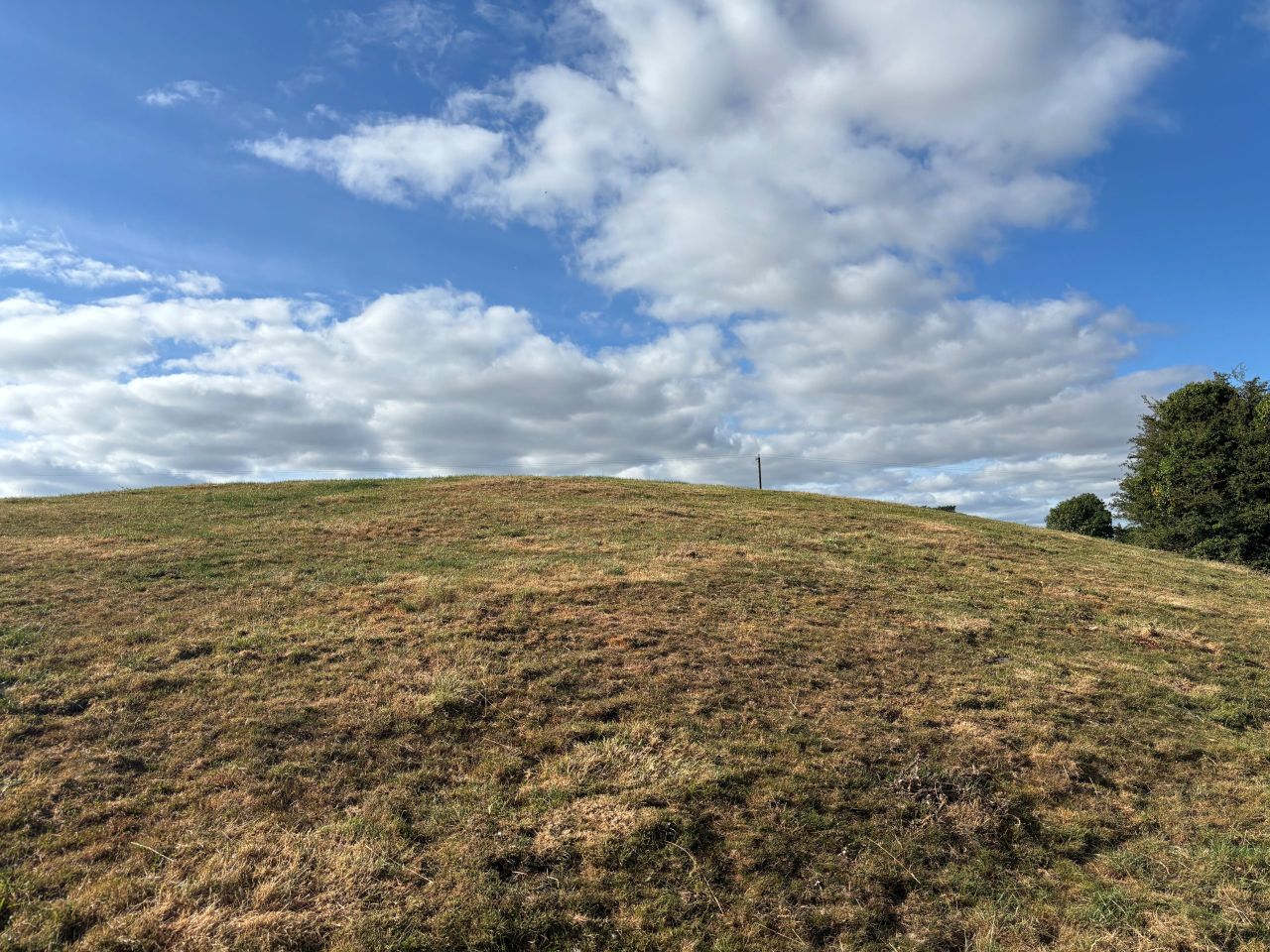South-east grass growth falls short of demand due to drought