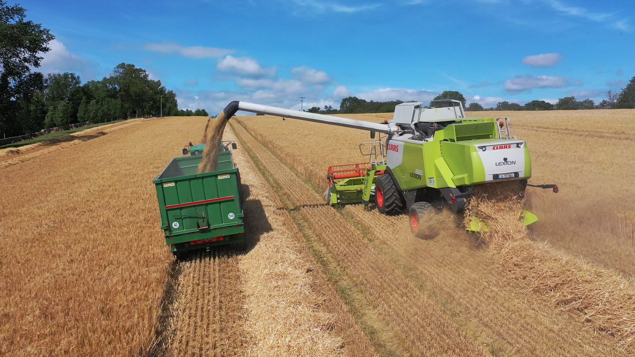 Watch: Harvest in full swing in south Tipperary