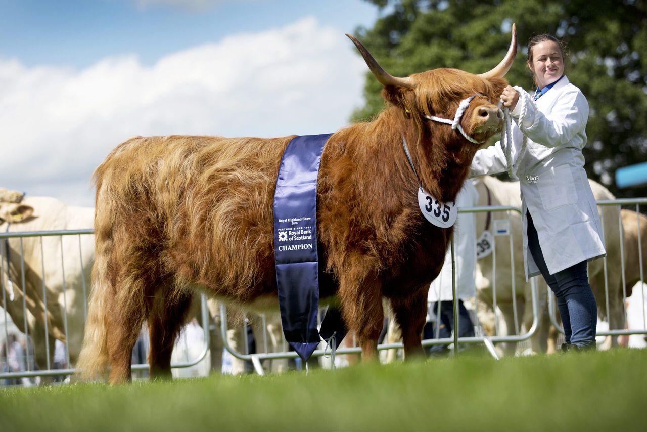 Royal Highland Show gets underway today