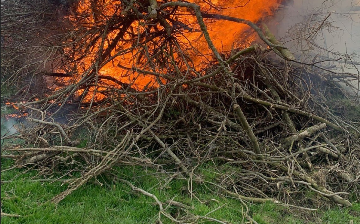 Minister warns of farm payment penalties for illegal burning