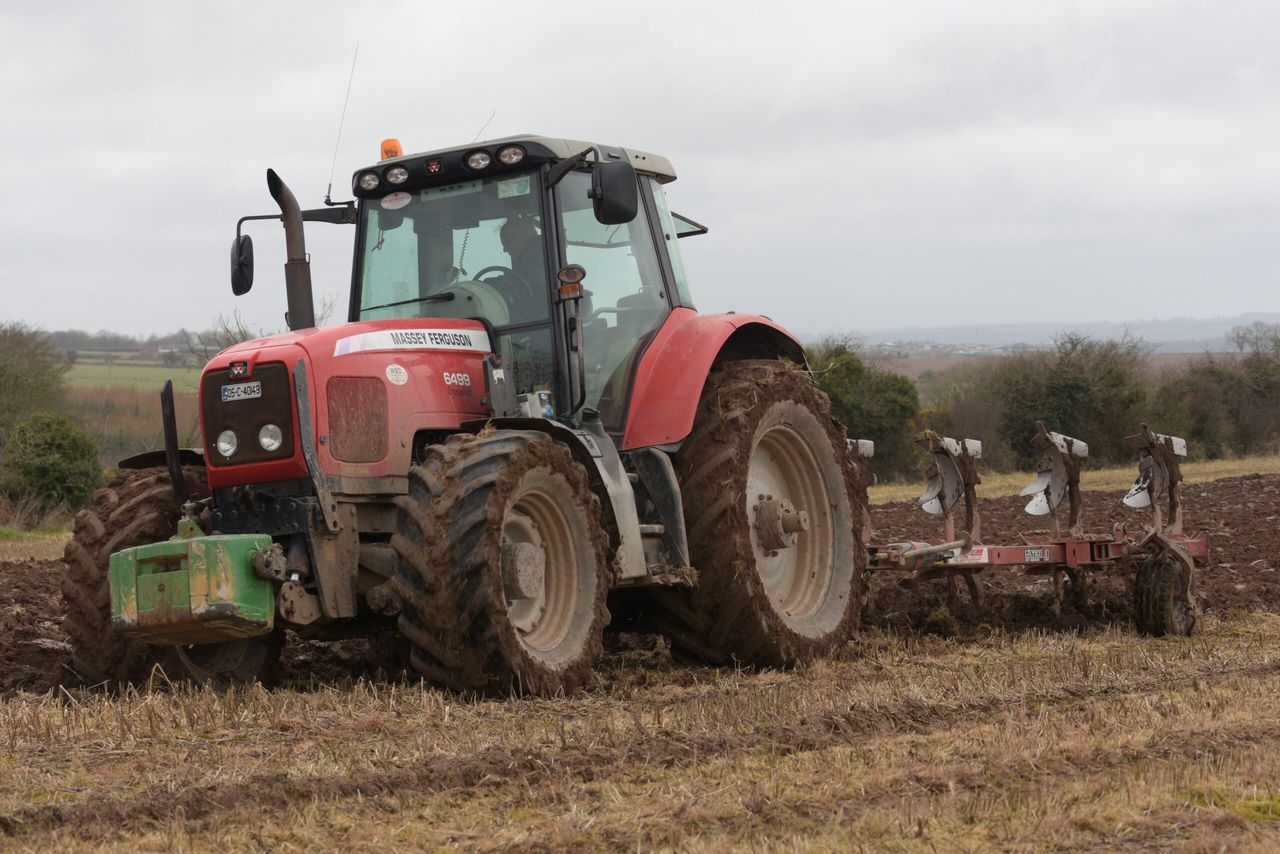 IGGG poll: 13% of tillage farmers have no spring crops sown