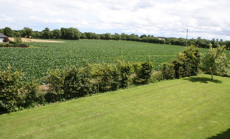 15.55ac Ratoath holding provides 'excellent' road frontage