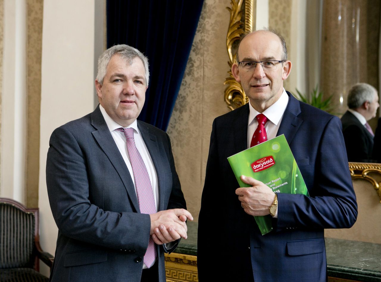 Dairygold ready to fight for its cheddar exports during Brexit negotiations