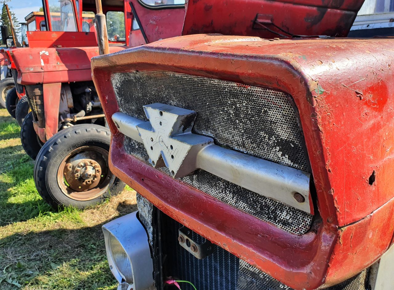 Auction report: Clatter of 'ex-bog' MFs go 'under the hammer'