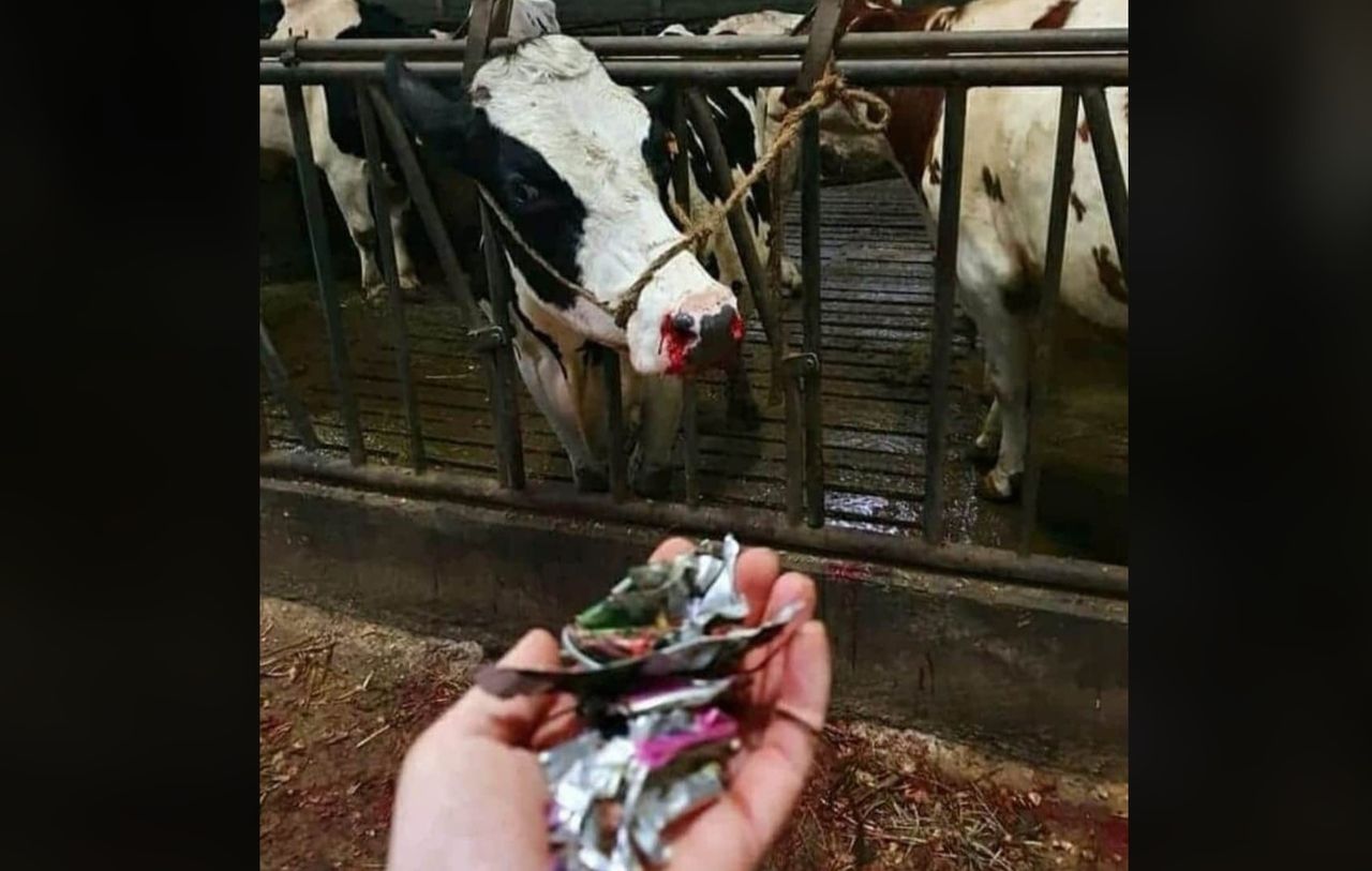 'Have you tried eating razor blades?': Councillor hits out at rural litter louts