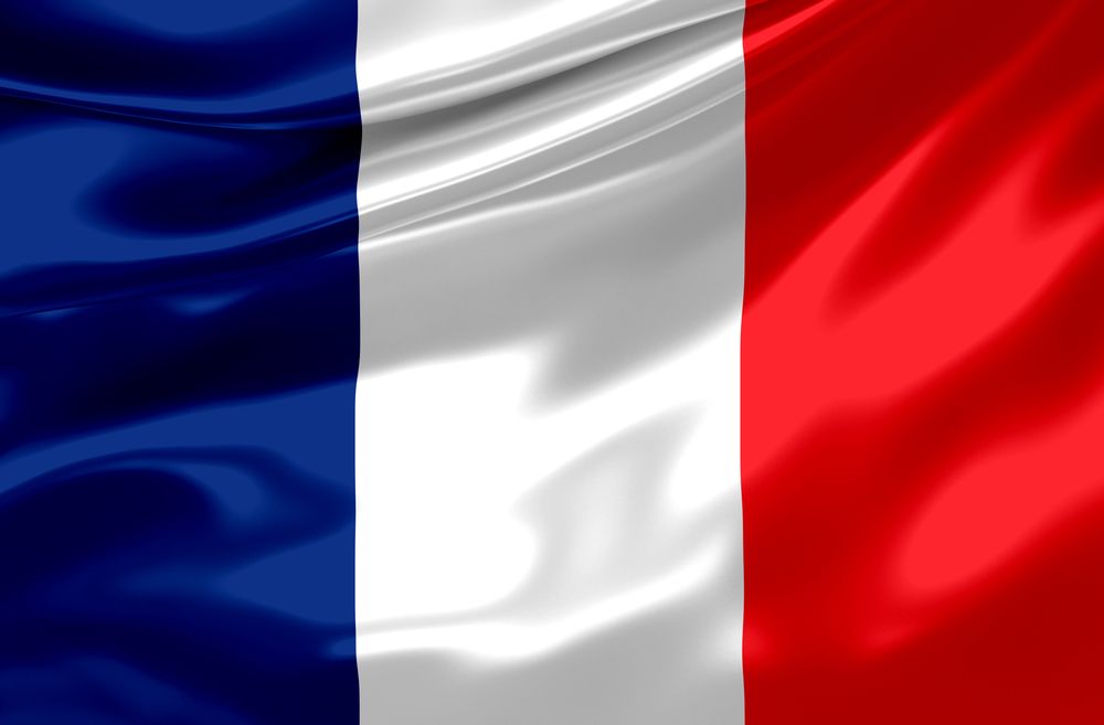 Irish meat exports hit by French farmer protests as retailers ditch imported meat