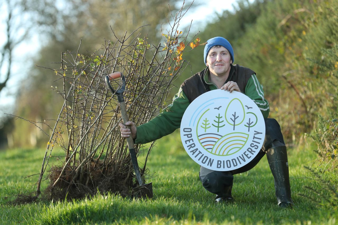 Glanbia launches initiative to increase the planting of trees and hedgerows