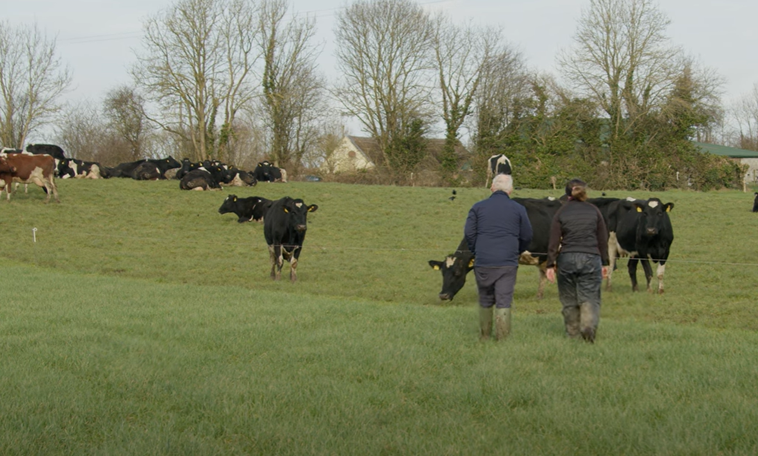 Increasing milk solids by over 100kg/cow in a few years