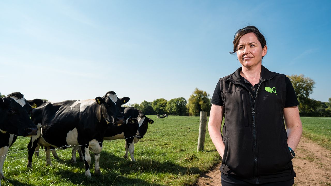 Don't let a difficult year set your grassland production back