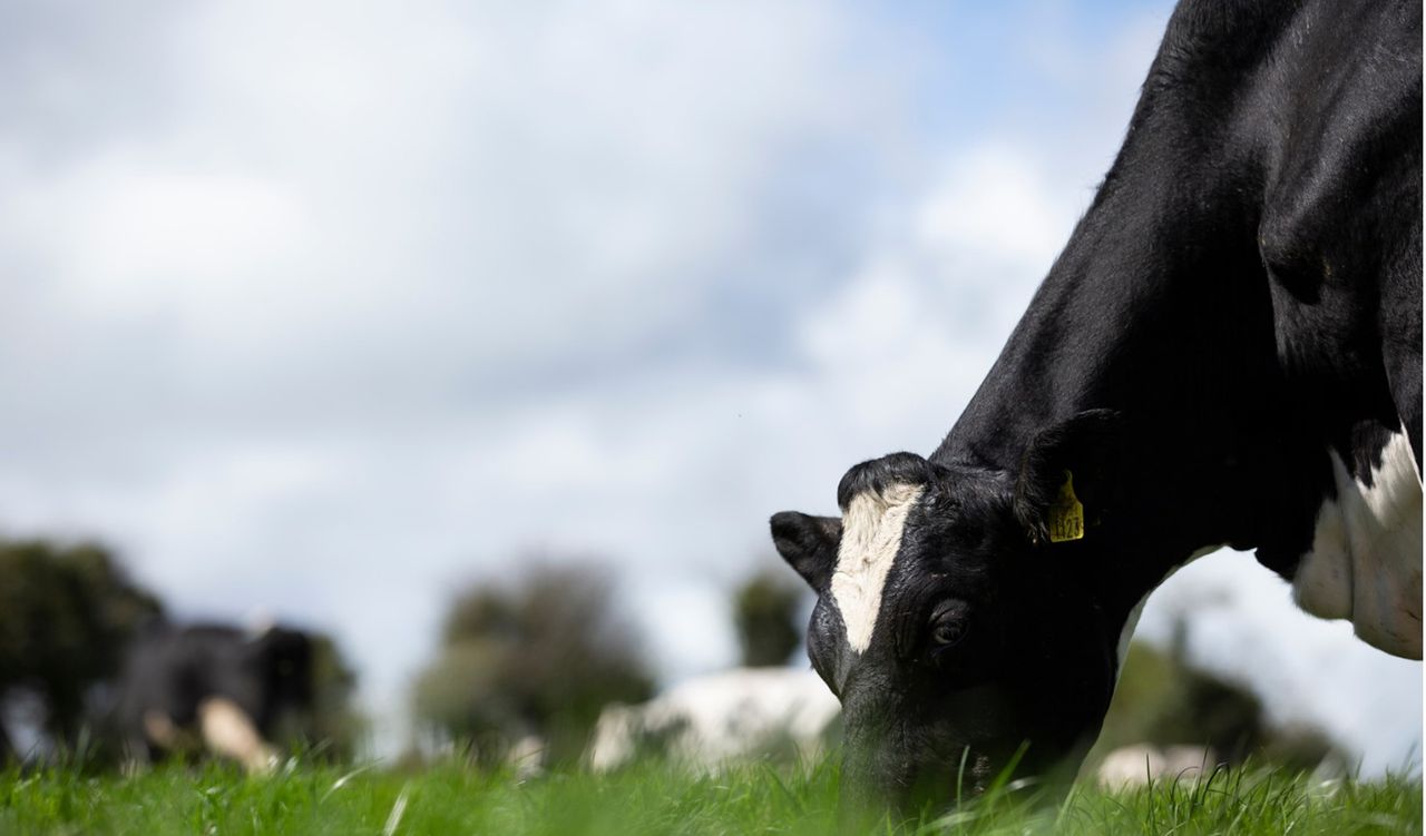 New service launched to improve farm efficiency and sustainability