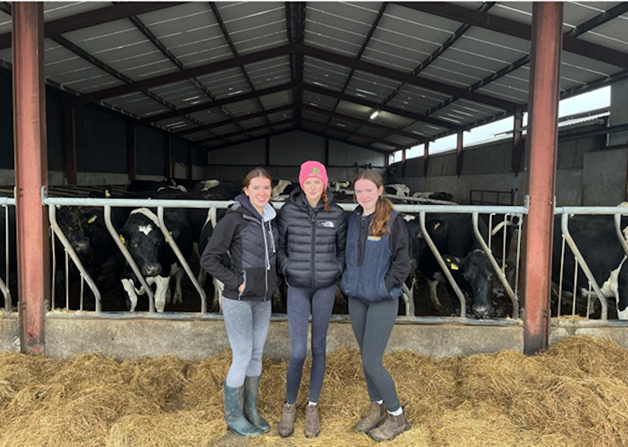 'Are cow collars worth the hype?' - Longford students