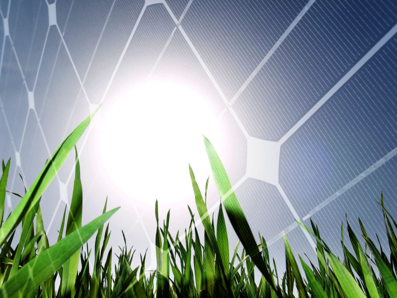 Final consultation on Irish Renewable Heat Incentive scheme underway
