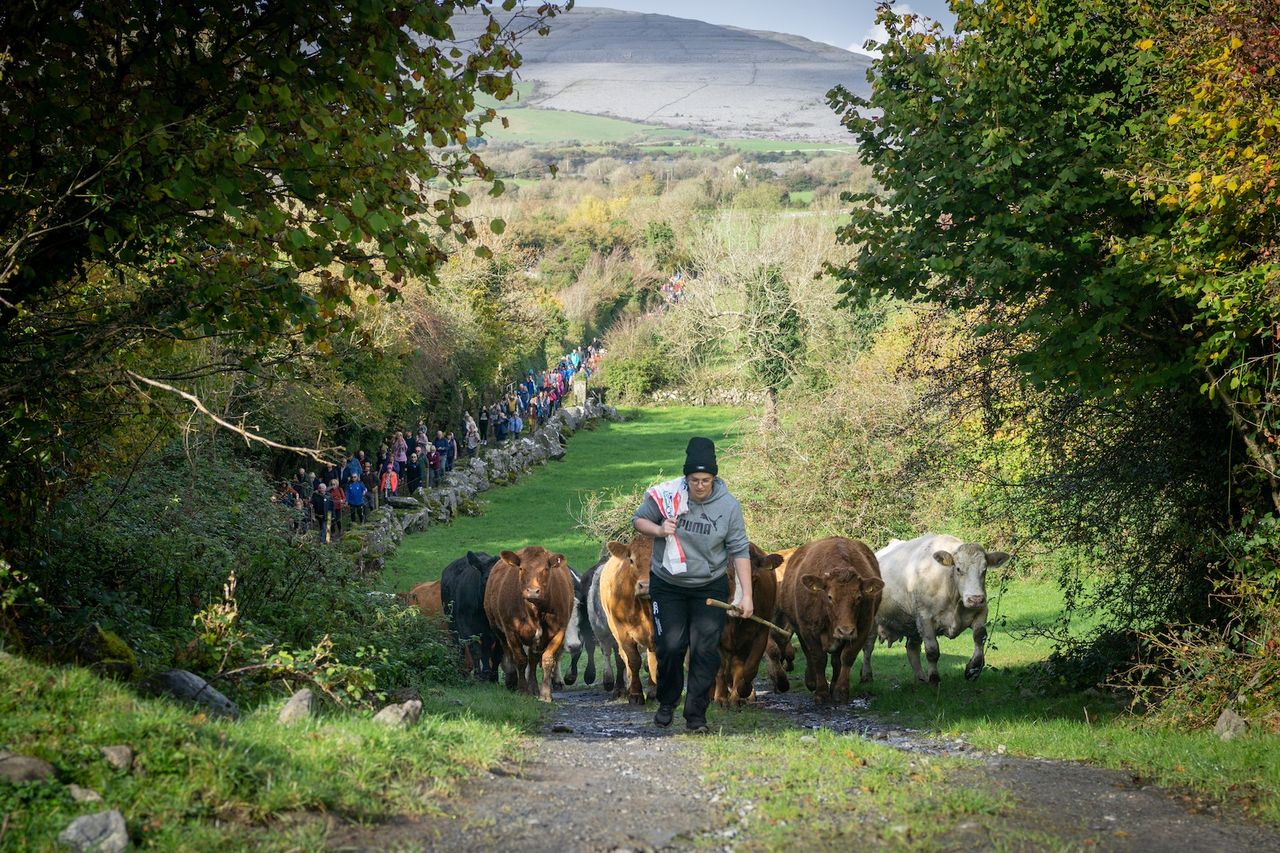 Celebration of the Burren's special landscape returns