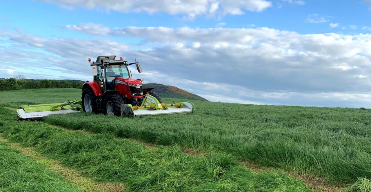 Reminder: Testing grass for nitrates and sugars before cutting