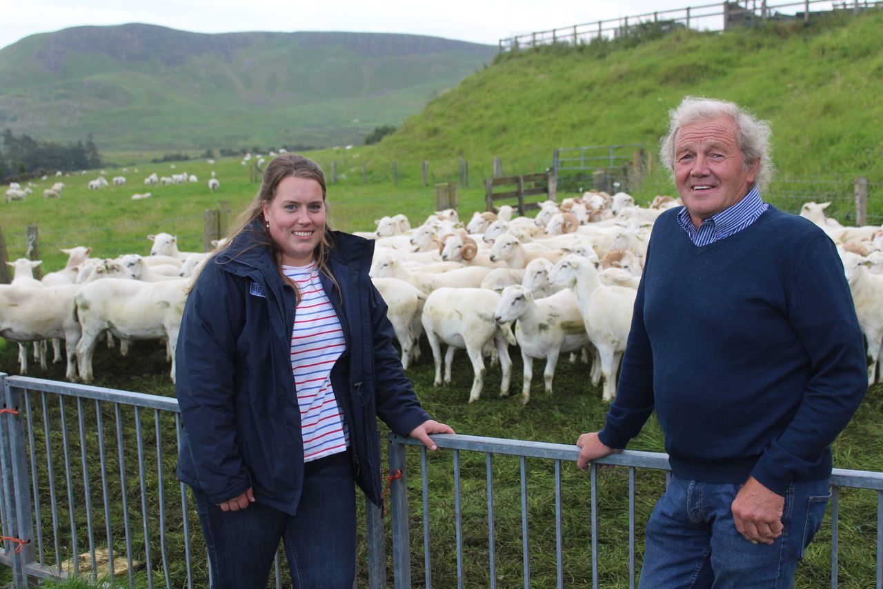 Genomics 'can deliver positive change' for sheep sector - specialist