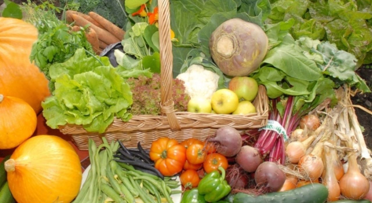 Grow It Yourself seeks land to expand farm project