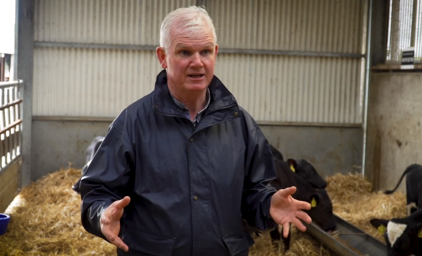 A vet's view to herd health in Teagasc Grange