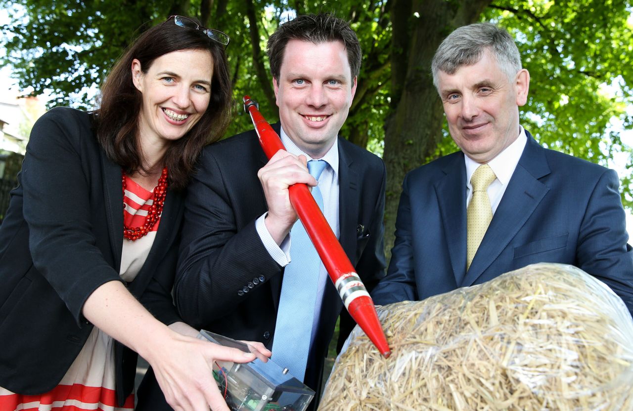 Engineering the quality of straw