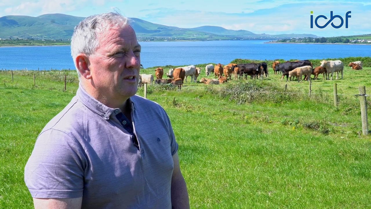 Joseph McCrohan, on his Co. Kerry farm. Source: ICBF