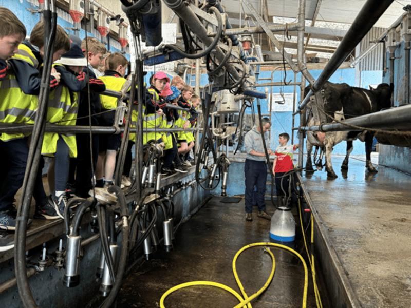 Tipperary dairy farmer hosts primary school pupils on farm visit