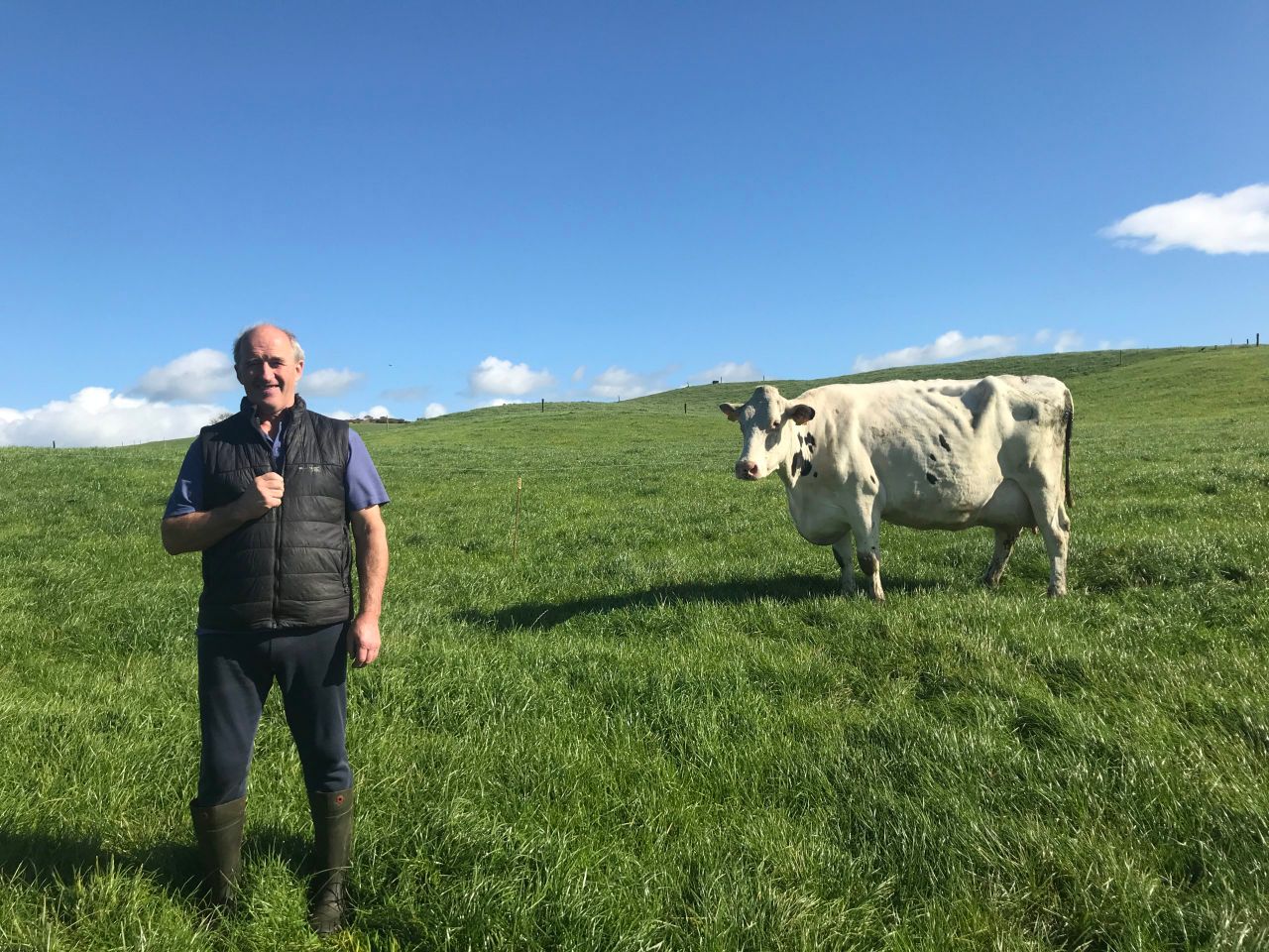 Dairy Focus: Mohoncross Holstein starting with 9 calves