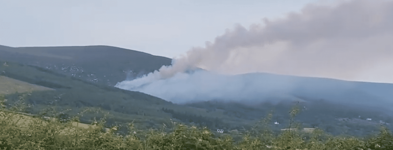DAFM issues 'condition orange' forest fire warning