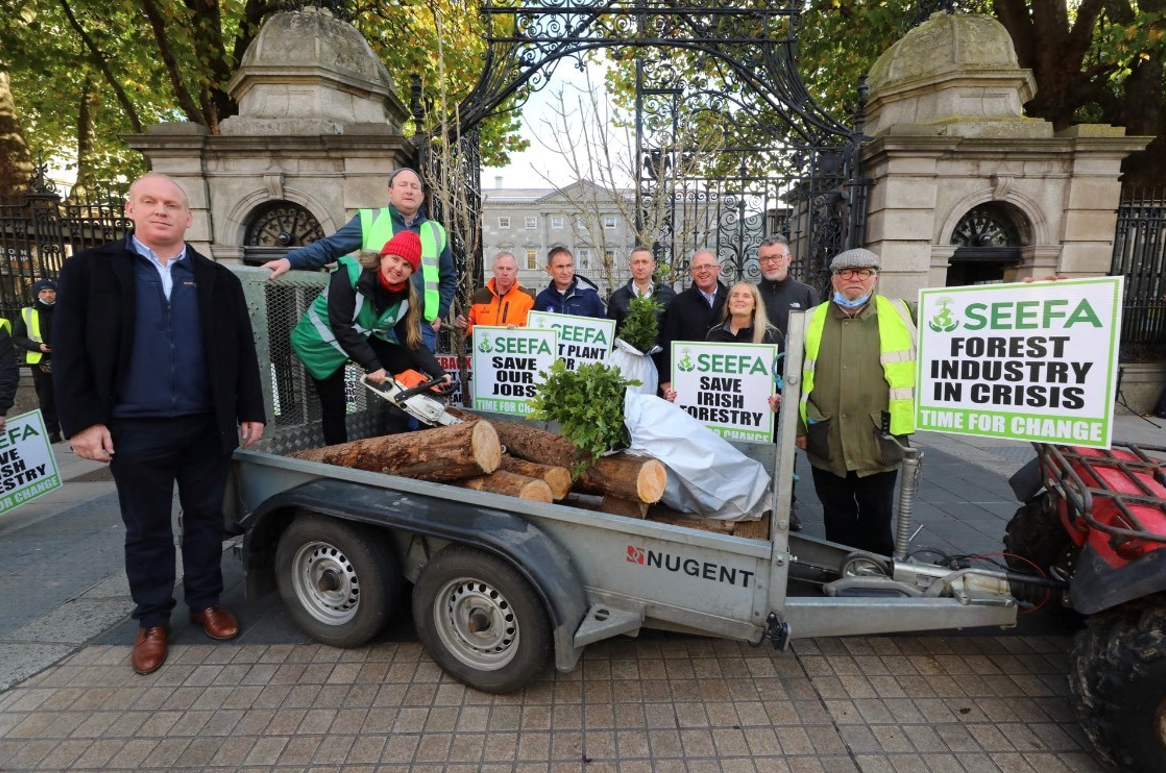 'Time for change' - SEEFA stages protest in bid to save forestry sector