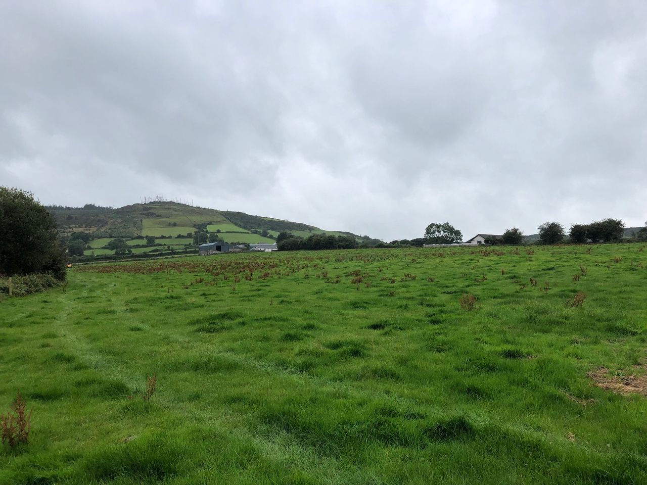 ‘As far as the people of this area are concerned the DUP is not interested’
