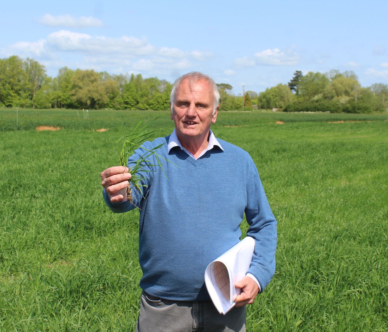Nitrogen use efficiency can be core driver in cereal crops