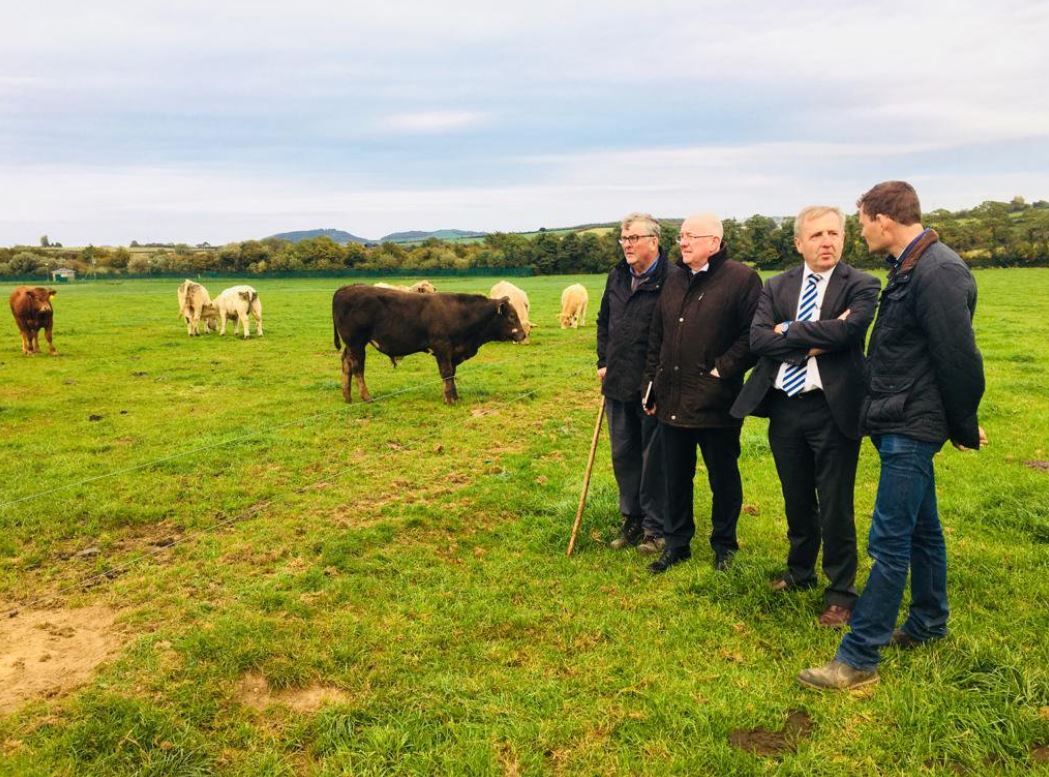 Creed on suckler cull proposal: 'It's an evolving picture'